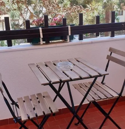 Pinho 상페드루 지 모엘