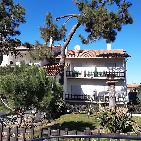 Pinho 상페드루 지 모엘