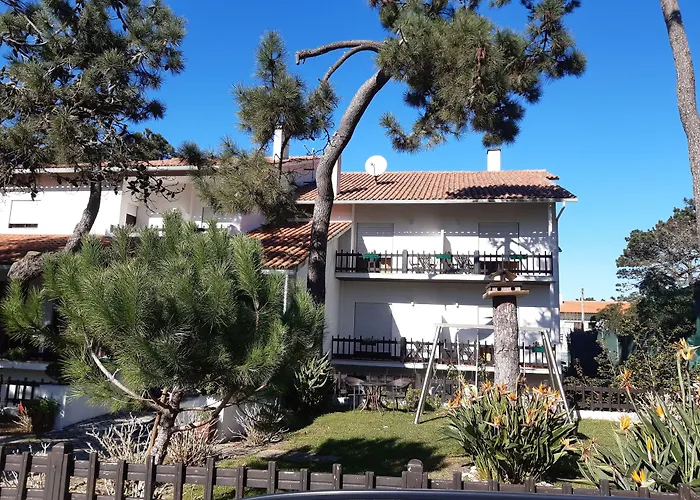 Pinho Sao Pedro De Moel